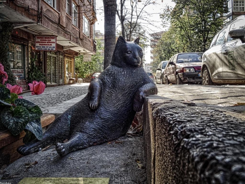 ដំណើរការបណ្តុះបណ្តាលស្លត