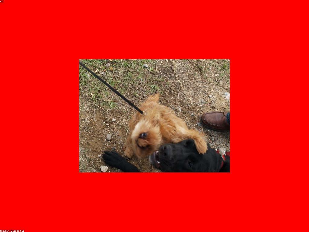 ការកែលម្អបច្ចេកទេសការបណ្តុះបណ្តាលស្លត