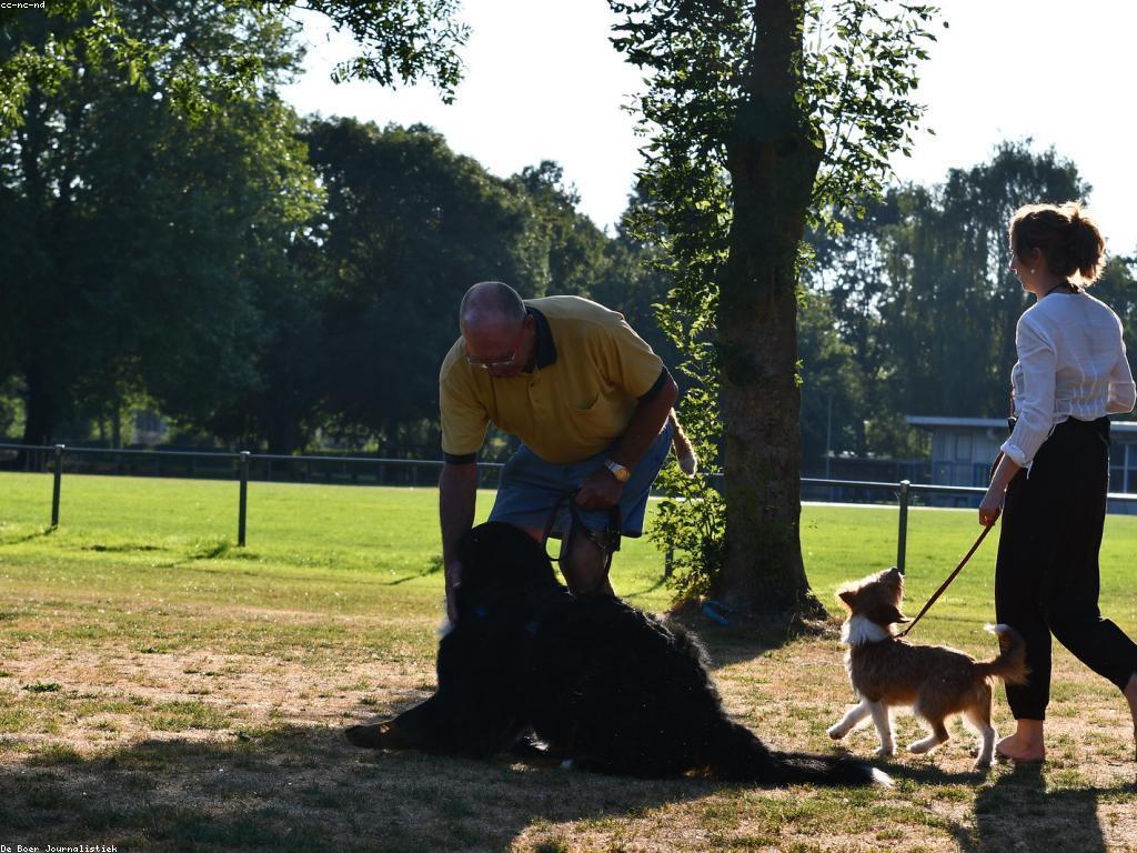 វិធីសាស្ត្របណ្តុះបណ្តាលស្លតដែលមានប្រសិទ្ធភាព