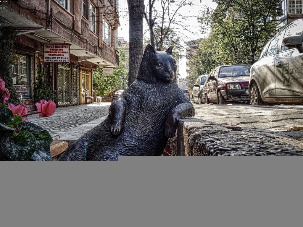 វិធីសាស្ត្រក្នុងការបណ្តុះបណ្តាលស្លត