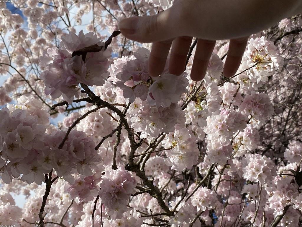 អានព័ត៌មានស្លតថ្មីៗ និងទិសដៅនៃព្រឹត្តិការណ៍